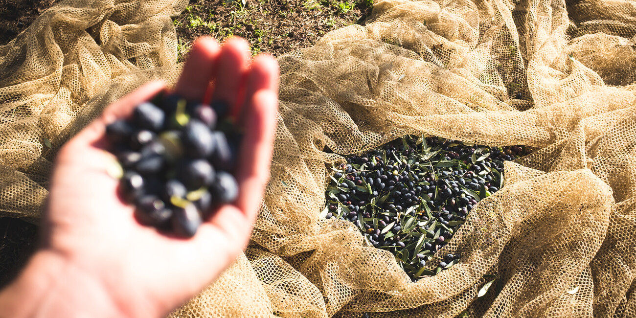 Borghi da gustare: l’autunno in Trentino si serve in tavola #2