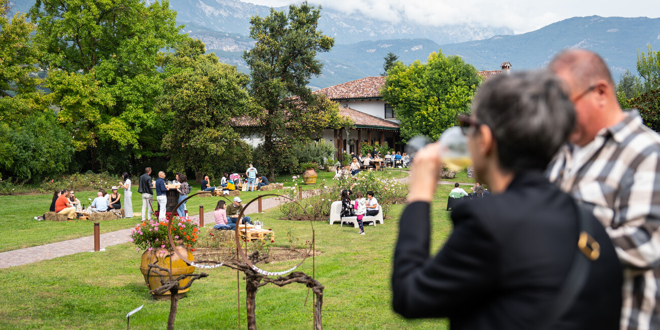 Di Festival in Festival a Trento e Rovereto #2