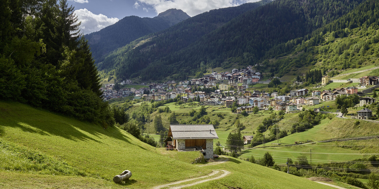 “VERMIGLIO”: UN RACCONTO TRA NATURA, CULTURA E CINEMA #3