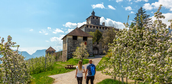 The castles are brimming with life!