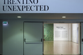 Al Mart Trentino Unexpected