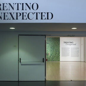 Al Mart Trentino Unexpected