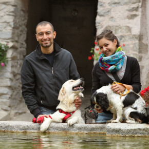 Pet friendly holidays