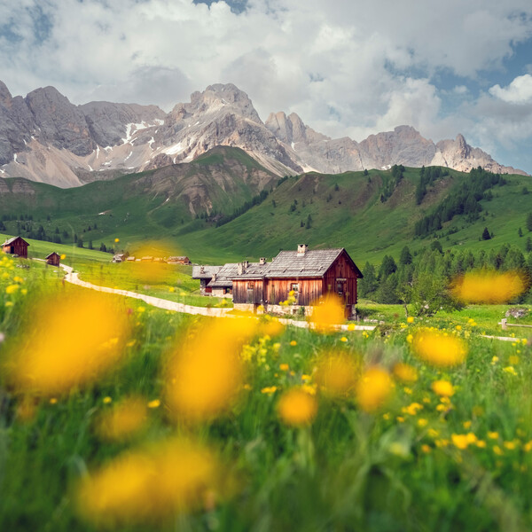 Trentino at a glance