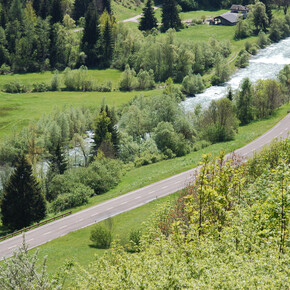 RR Val di Fiemme Destra Avisio - Torrente Avisio | © RR Val di Fiemme Destra Avisio - Torrente Avisio