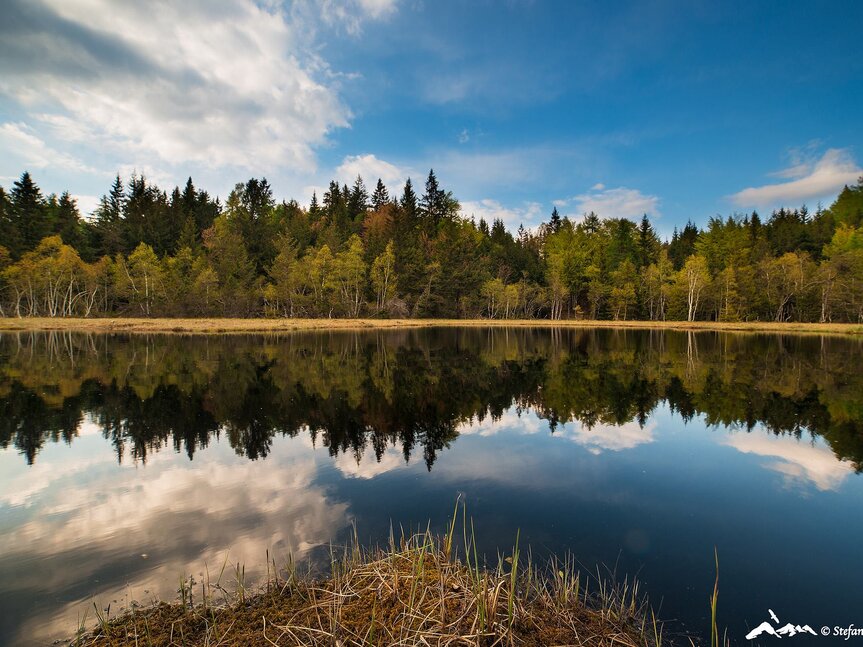 Rete di Riserve Cembra – Avisio | © Foto Archivio Rete di Riserve Cembra – Avisio