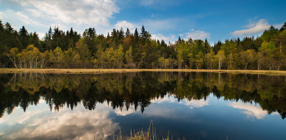 Network of Nature Reserves Cembra - Avisio | © Foto Archivio Rete di Riserve Cembra – Avisio