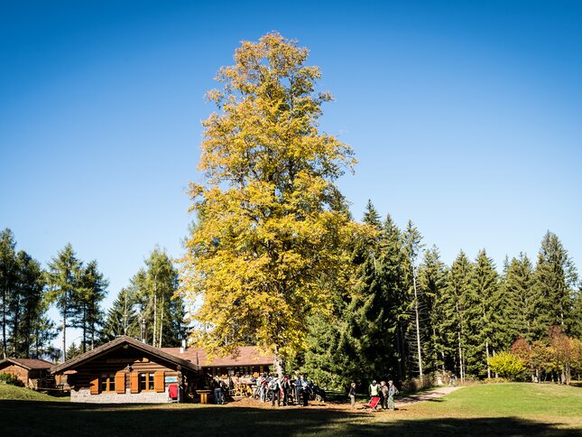 Network of Nature Reserves Cembra - Avisio | © Foto Archivio Rete di Riserve Cembra – Avisio