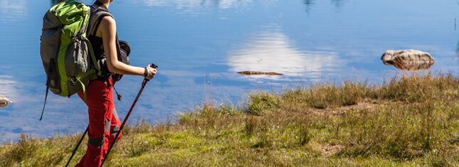 Network of Nature Reserves Cembra - Avisio | © Foto Archivio Rete di Riserve Cembra – Avisio