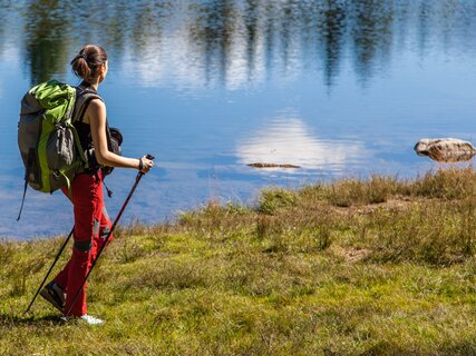 Network of Nature Reserves Cembra - Avisio | © Foto Archivio Rete di Riserve Cembra – Avisio