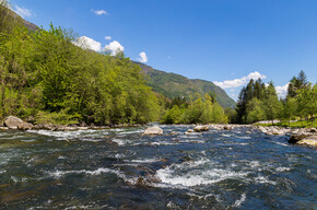 Network of Nature Reserves - Alto Noce | © Foto Archivio Apt Val di Sole