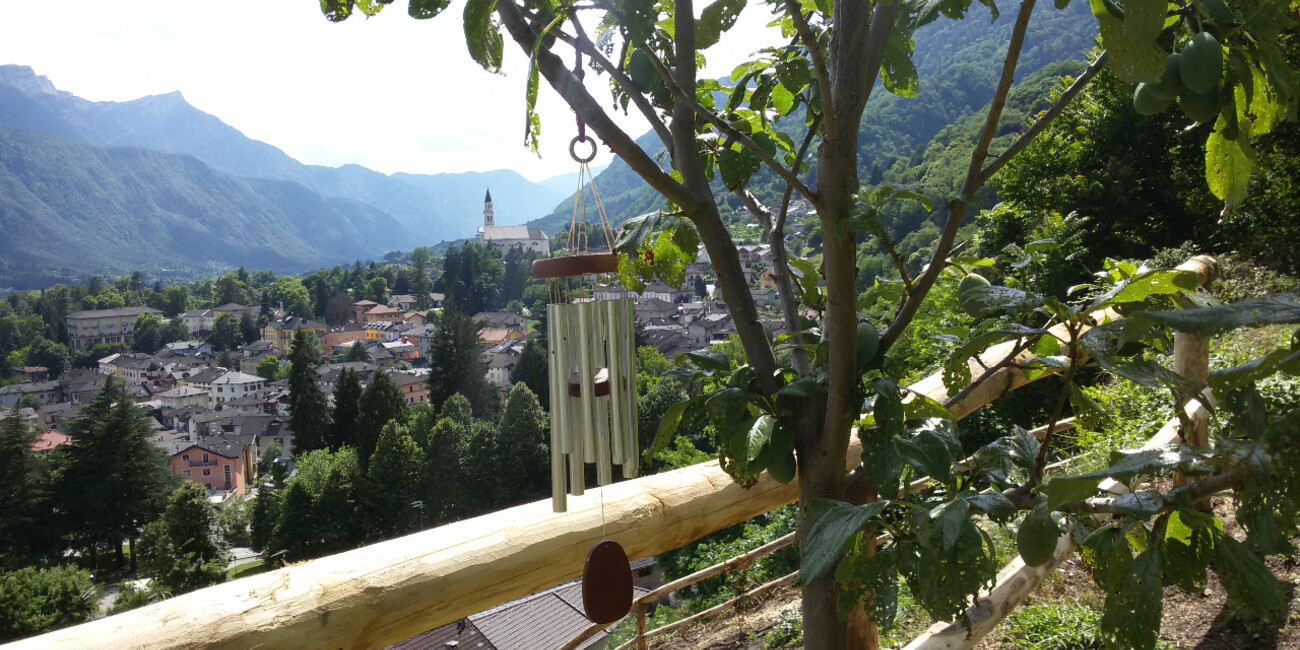 Museum der Volksmusikinstrumente #2