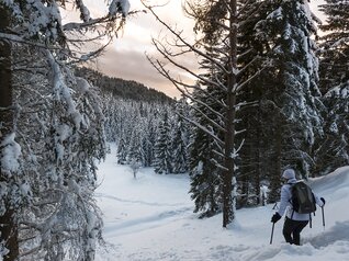 Passo Mendola - Loc. Campi Golf