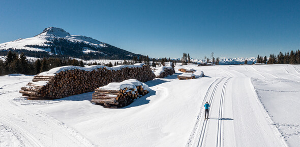 Centro Fondo Passo di Lavazè 