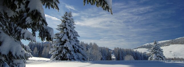22453-monte-bondone-inverno-giovanni-cavulli | © 22453-monte-bondone-inverno-giovanni-cavulli
