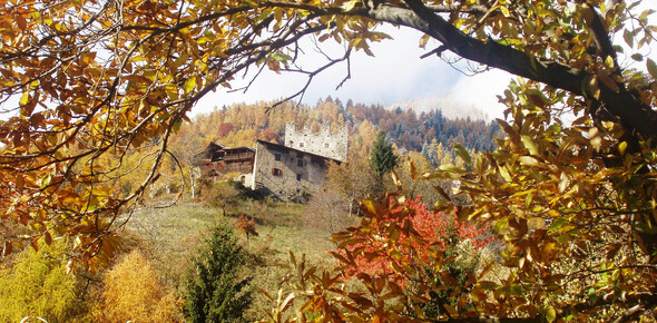 RRiserve_Alto_Noce_48_giorgio_rizzi | © RRiserve_Alto_Noce_48_giorgio_rizzi