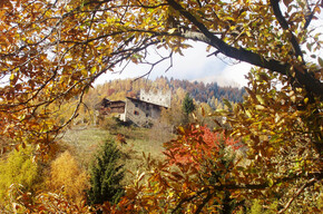 RRiserve_Alto_Noce_48_giorgio_rizzi | © RRiserve_Alto_Noce_48_giorgio_rizzi