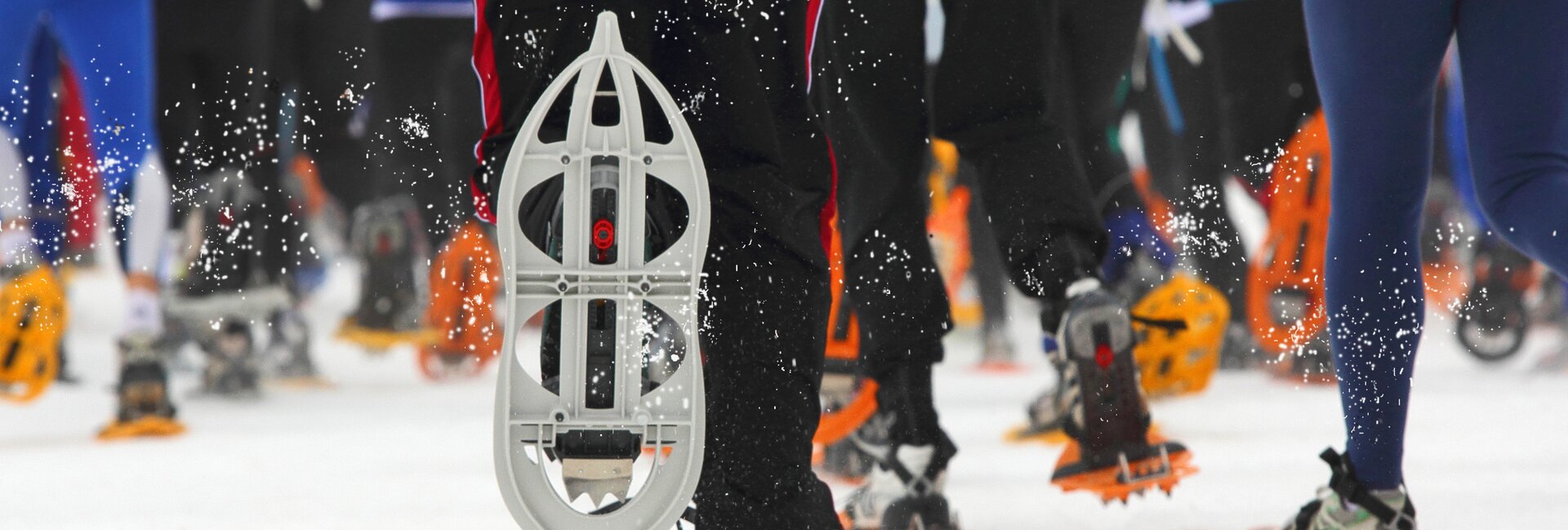 Fondo - Borgo d'Anaunia