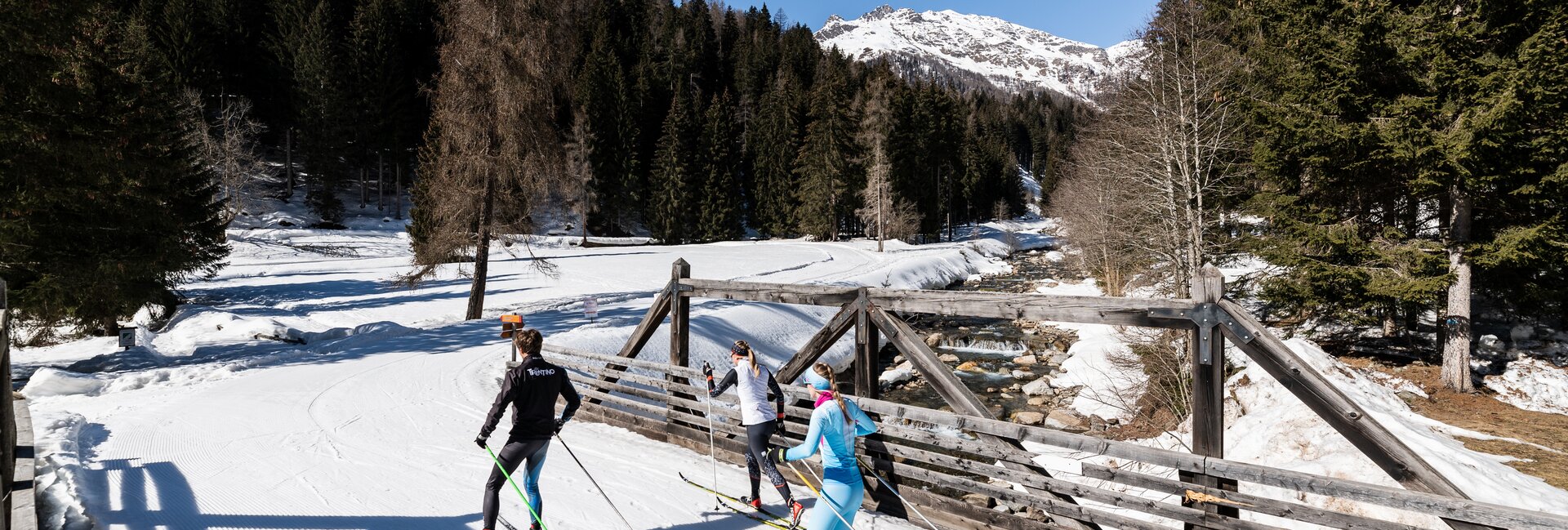 Cross-Country Skiing Rabbi