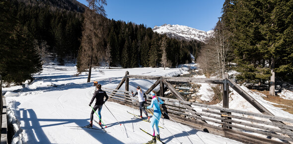 Cross-Country Skiing Rabbi