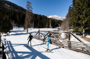 Cross-Country Skiing Rabbi