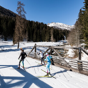 Cross-Country Skiing Rabbi