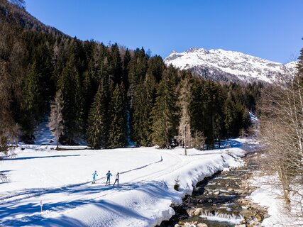 Cross-Country Skiing Rabbi