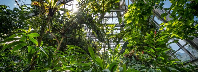 MUSE – Science Museum