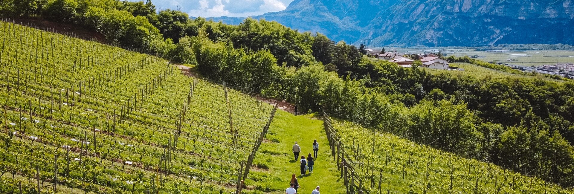 Altopiano della Paganella and Piana Rotaliana