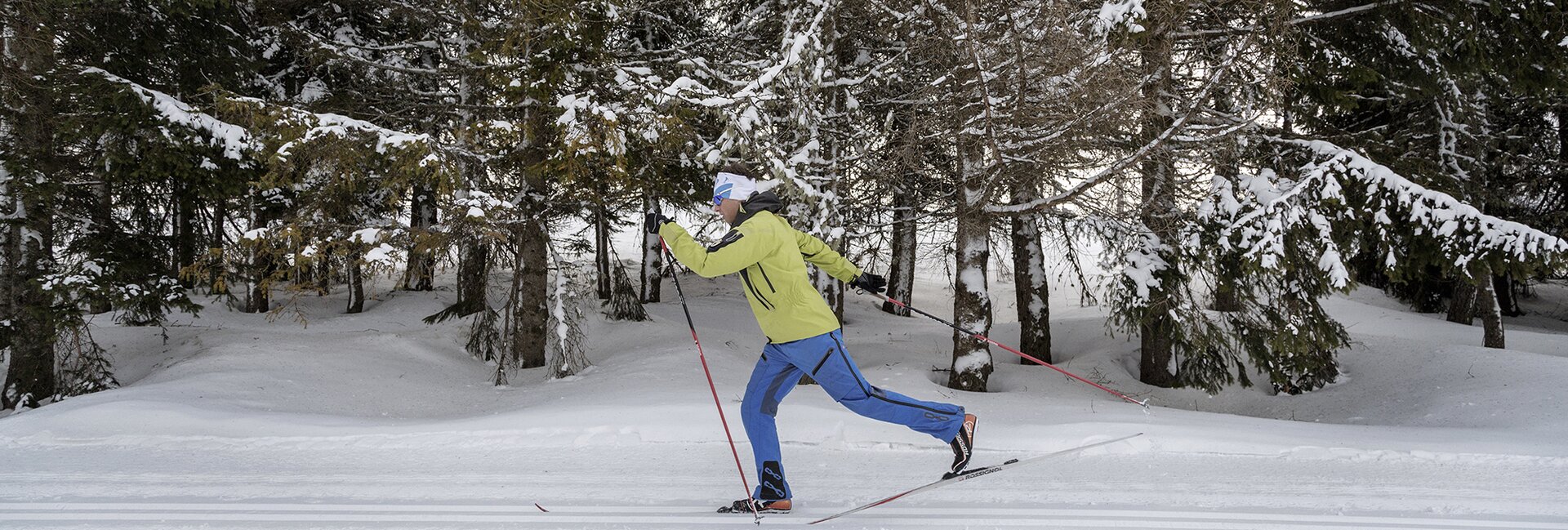 Trento, Monte Bondone and the Piné plateau