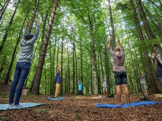 Parco del Respiro - Fai della Paganella | © Mirko Perli