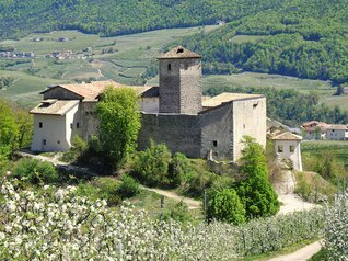 Castel Belasi