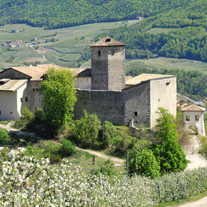 Castel Belasi