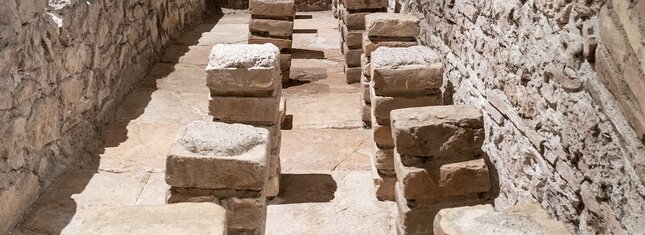 Die Römische Orpheus-Villa