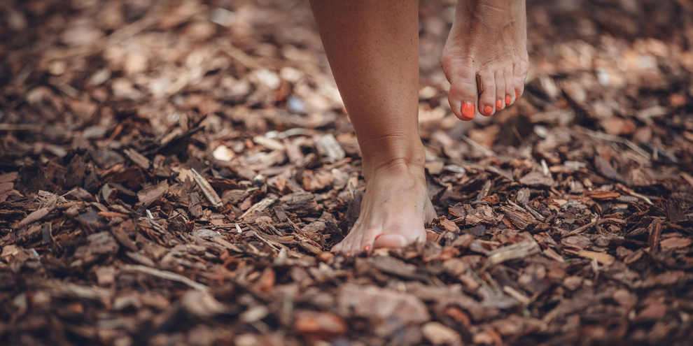 In the Fairy Gavardina woods, Garda | © 2023_APTGARDADOLOMITI_PRUGNOLA