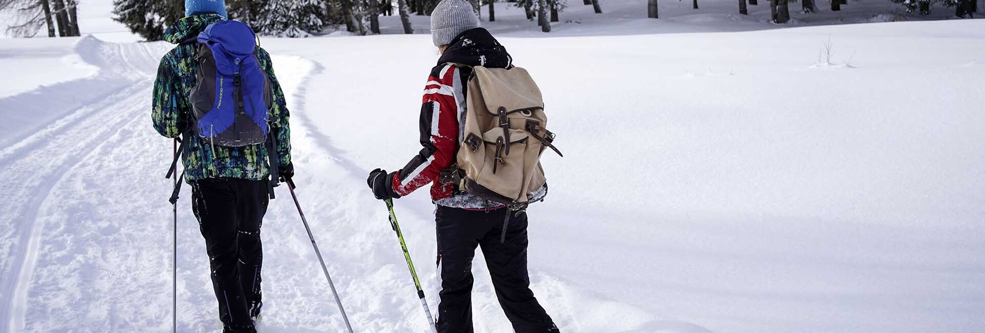 APT TRENTO - Ciaspolata - Viote del Monte Bondone | © APT TRENTO - Ciaspolata - Viote del Monte Bondone