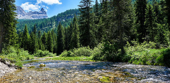 Vallesinella - Dolomiti di Brenta