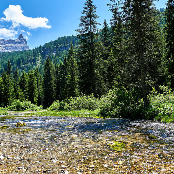 Vallesinella - Dolomiti di Brenta