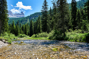 Vallesinella - Dolomiti di Brenta