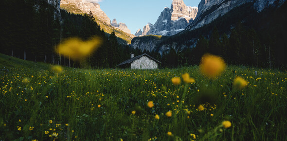 Malga Brenta Bassa - Dolomiti di Brenta