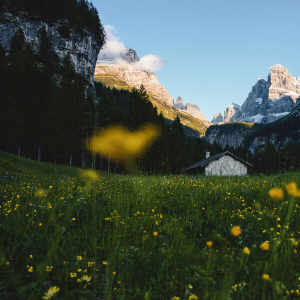 Malga Brenta Bassa - Dolomiti di Brenta