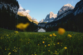 Malga Brenta Bassa - Dolomiti di Brenta