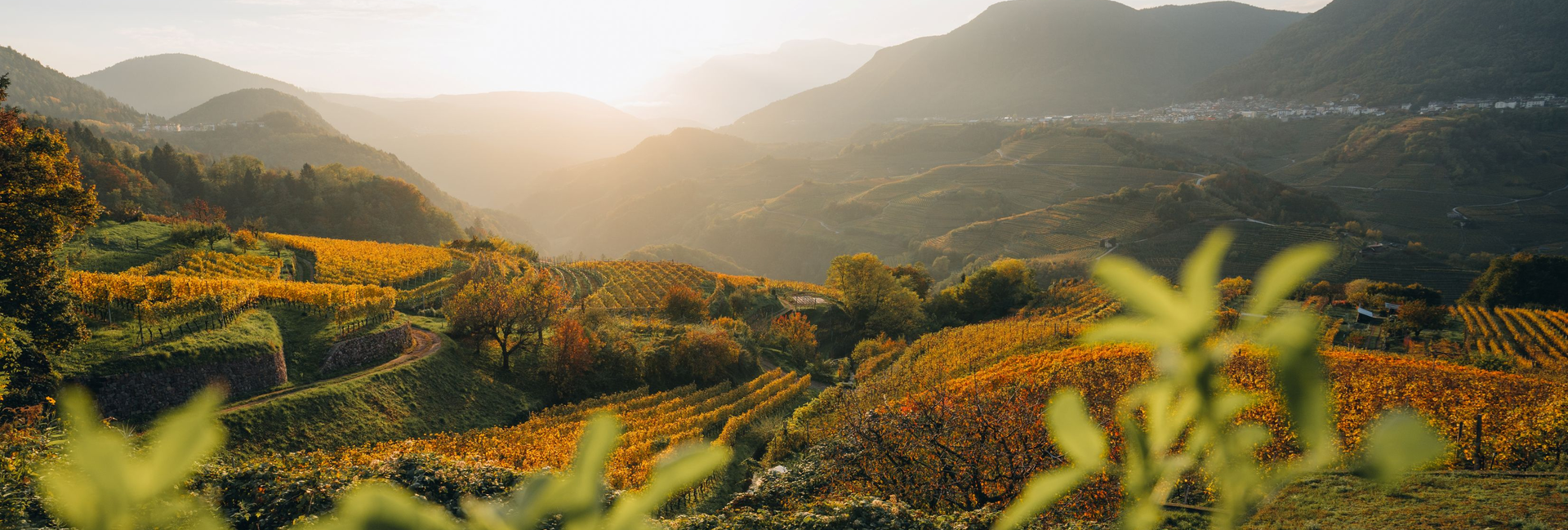 Val di Fiemme and Val di Cembra