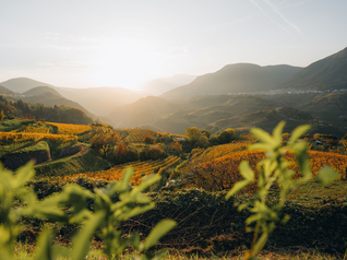 Val di Fiemme und Val di Cembra