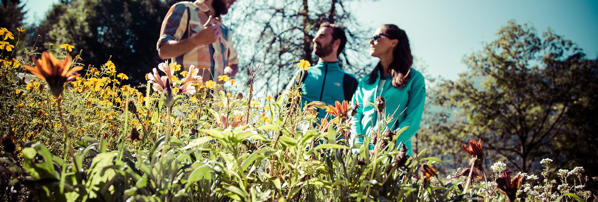 Malè - Val di Sole - Mulino Museo dell’Ape –  Discover the incredible world of bees