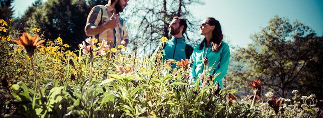 Malè - Val di Sole - Mulino Museo dell’Ape –  Discover the incredible world of bees