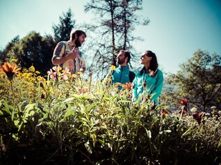 Malè - Val di Sole - Mulino Museo dell’Ape –  Discover the incredible world of bees