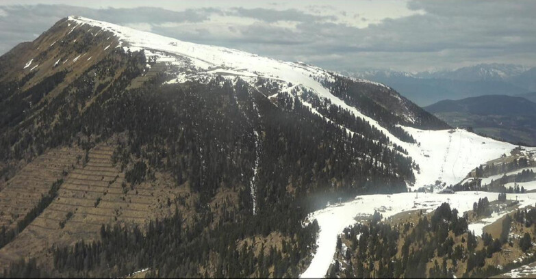 Webcam Pampeago  - Predazzo -  Obereggen - Pala Santa