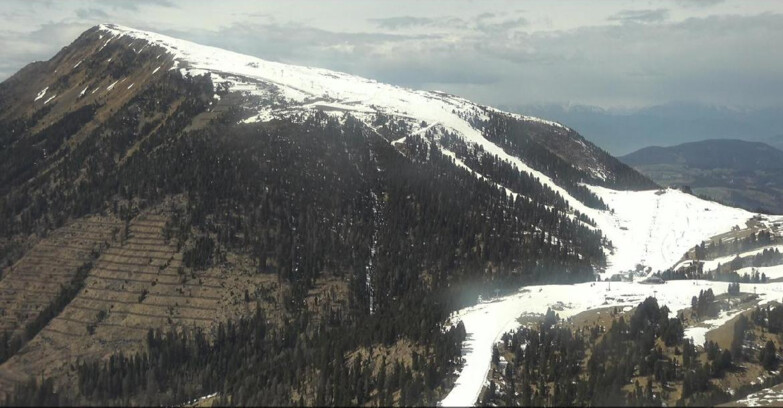 Webcam Pampeago  - Predazzo -  Obereggen - Pala Santa