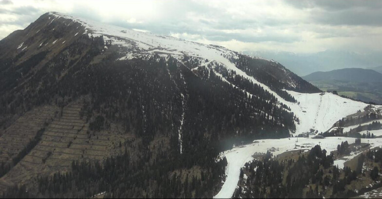 Webcam Pampeago  - Predazzo -  Obereggen - Pala Santa